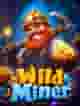 Wild Miner