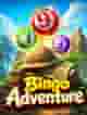 Bingo Adventure
